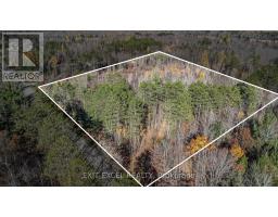 Part 2 Plan 46 R 8228 Boundary Rd Road, Alfred And Plantagenet, ON K0B1L0 Photo 4