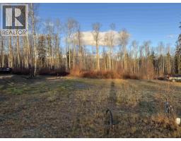 7 5115 Swannell Drive, Hazelton, BC V0J1Y1 Photo 4