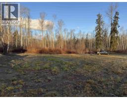 7 5115 Swannell Drive, Hazelton, BC V0J1Y1 Photo 2