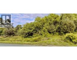 Lot Route 105, Lower Brighton, NB E7P3E7 Photo 5