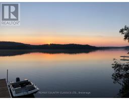 Kitchen - 2954 Aylen Lake Road, South Algonquin, ON K0J2M0 Photo 2