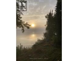 Bedroom - 2954 Aylen Lake Road, South Algonquin, ON K0J2M0 Photo 3