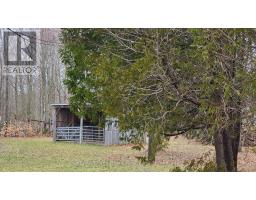 Pt Lt 1 Concession Rd 21 Road, Georgian Bluffs, ON N0H2T0 Photo 3