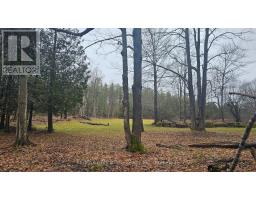 Pt Lt 1 Concession Rd 21 Road, Georgian Bluffs, ON N0H2T0 Photo 4