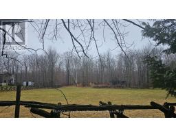 Pt Lt 1 Concession Rd 21 Road, Georgian Bluffs, ON N0H2T0 Photo 5