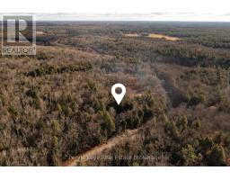 1259 Germania Road, Bracebridge, ON P1P1R3 Photo 4