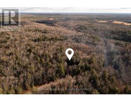 1259 Germania Road, Bracebridge, ON P1P1R3 Photo 5