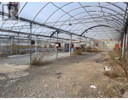 248 271 County Rd 20 Road, Prince Edward County, ON K0K2T0 Photo 2