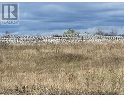 248 271 County Rd 20 Road, Prince Edward County, ON K0K2T0 Photo 3