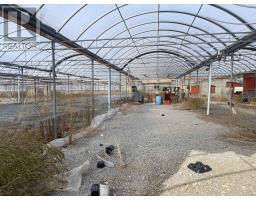 248 271 County Rd 20 Road, Prince Edward County, ON K0K2T0 Photo 4