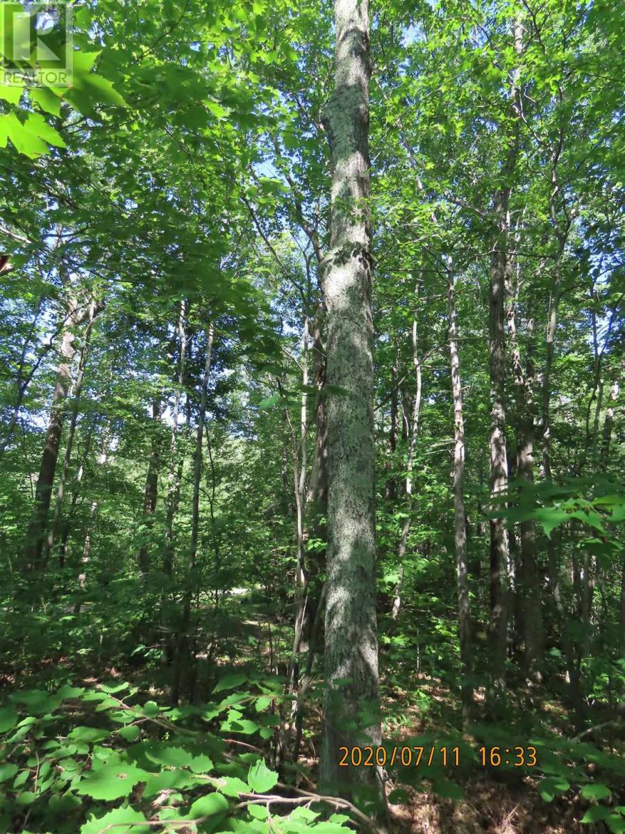 Lots 17 20 S And T Line Rd