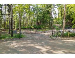1827 Hybla Road, Hastings Highlands, ON K0L1C0 Photo 2