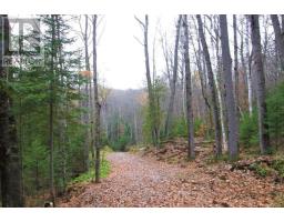 1827 Hybla Road, Hastings Highlands, ON K0L1C0 Photo 5