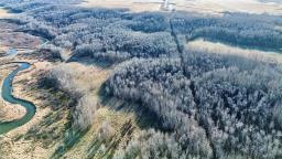 95056 119 Road W, Newdale, MB R0J1J0 Photo 5