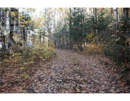 00 Ottawa Avenue, Machar, ON P0A1X0 Photo 4