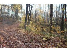 00 Ottawa Avenue, Machar, ON P0A1X0 Photo 5