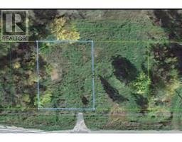 Pcl 4 1 Sec Sm 1 Hwy 11, Dawson, ON P0W1M0 Photo 2