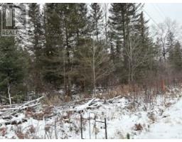 Lt 14 Part 2 Hazelwood Road, Papineaucameron, ON P0H1V0 Photo 2