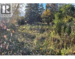 208 Winnipeg Street, Manitou Beach, SK S0K4T1 Photo 3