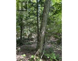 Creek Rd, Prince Township, ON P6A6K4 Photo 3