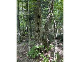 Creek Rd, Prince Township, ON P6A6K4 Photo 4