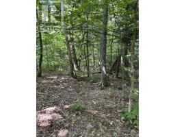 Creek Rd, Prince Township, ON P6A6K4 Photo 5