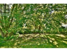 Bedroom - 1691 4th Line N, Oromedonte, ON L0L2L0 Photo 4