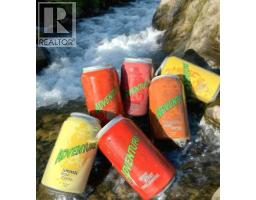 4810 41 Street, Camrose, AB T4V1N9 Photo 3