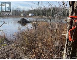 Lot 11 2 Hazen Lane, Lake George, NB E6K2N9 Photo 4