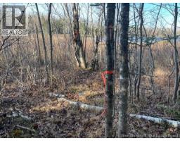 Lot 11 2 Hazen Lane, Lake George, NB E6K2N9 Photo 3