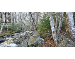 Lot 16 Eastern Shore Road, Port Medway, NS B0J1H0 Photo 5