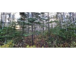 Lot 16 Eastern Shore Road, Port Medway, NS B0J1H0 Photo 4