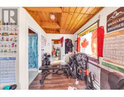 Bedroom - 710 Cameron Street, Peterborough, ON K9J3Z8 Photo 4