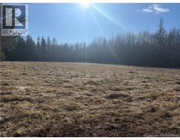 Living room - 6276 Route 10, Upper Salmon Creek, NB E4A1C5 Photo 4