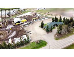 4510 50 Street S, Sedgewick, AB T0B4C0 Photo 5