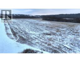 Poletz Acreage, Battle River Rm No 438, SK S0M0E0 Photo 3