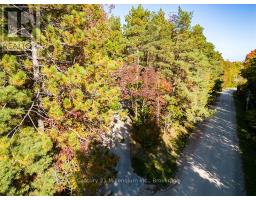 Living room - 265797 25th Side Road, Meaford, ON N4L1W5 Photo 5