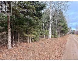 Vacant Land Cook Rd, Blackland, NB E8E2T9 Photo 3