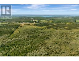 1678 County Road 8 Road, Prince Edward County, ON K0K2T0 Photo 5