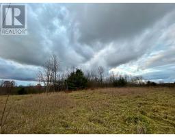 4056 Horseshoe Valley Road W, Springwater, ON L9X0Z6 Photo 4