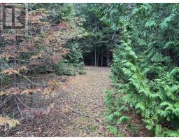 915 Third Avenue N, South Bruce Peninsula, ON N0H2G0 Photo 4