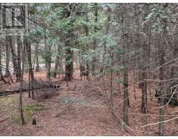 915 Third Avenue N, South Bruce Peninsula, ON N0H2G0 Photo 5