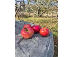 Lot 2025 Clarence Road, Central Clarence, NS B0S1M0 Photo 4