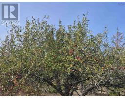 Lot 2025 Clarence Road, Central Clarence, NS B0S1M0 Photo 3