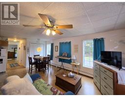 1826 St Peters Fourchu Road, Grand River, NS B0E1M0 Photo 5