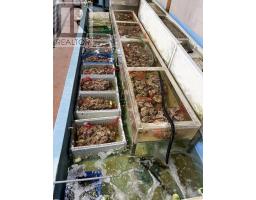 D 20 63 Silver Star Boulevard, Image 2