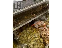 D 20 63 Silver Star Boulevard, Image 3