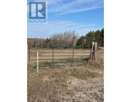 0 Miller Road, Selwyn, ON K0L2J0 Photo 2