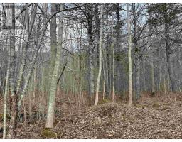 Culloden Road, Mount Pleasant, NS B0V1A0 Photo 5