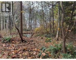 Bathroom - B 513 Erickson Rd, Campbell River, BC V9W1S8 Photo 4